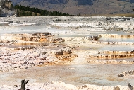 Yellowstone_thermal1.jpg